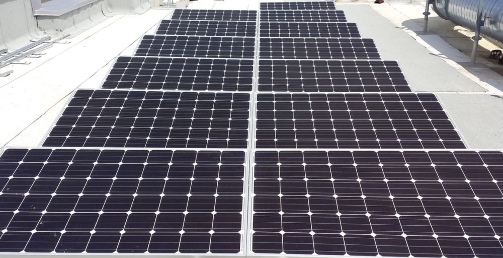 Rows of dark solar panels are installed on a flat rooftop.