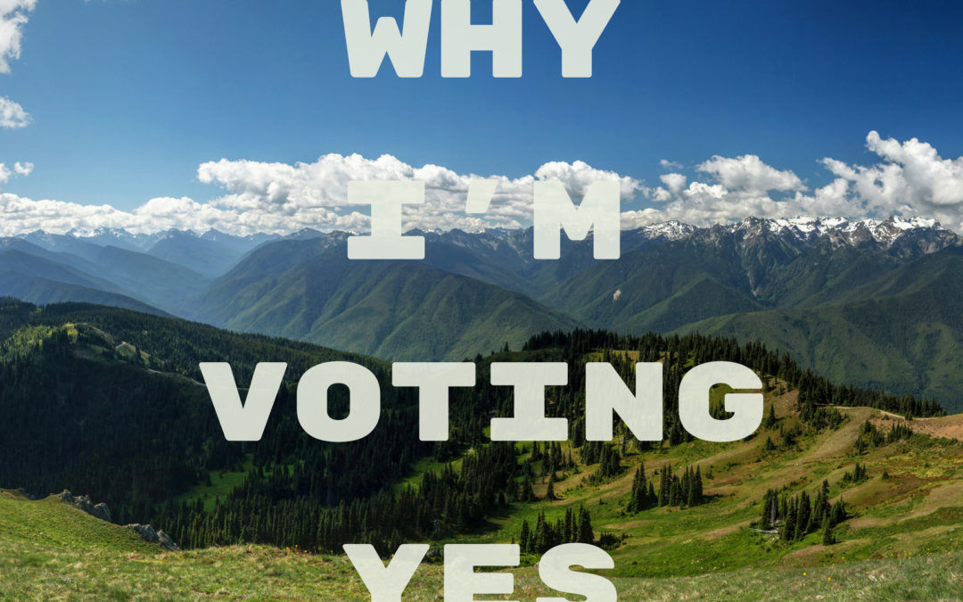Guest Post: Why I’m Voting Yes On I-1631 (yeson1631)