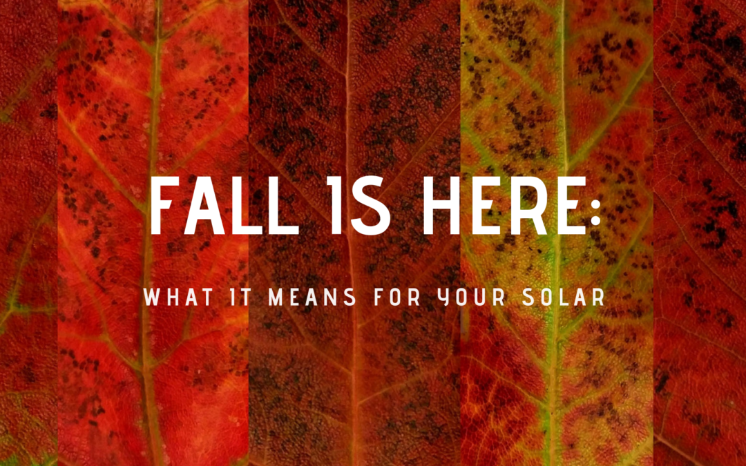 Fall is Here: What it Means for Your Solar Power