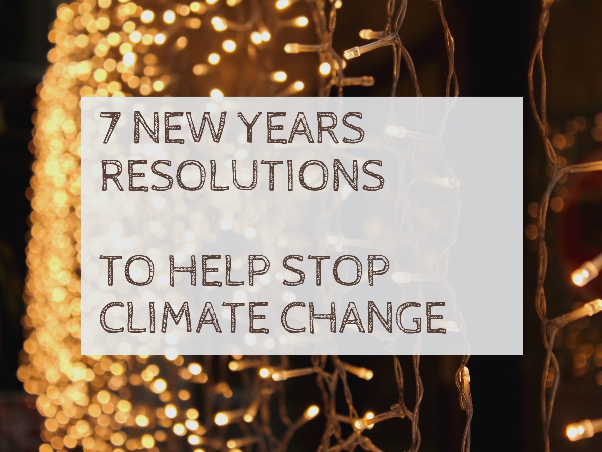 New Years Resolutions To Help Stop Climate Change
